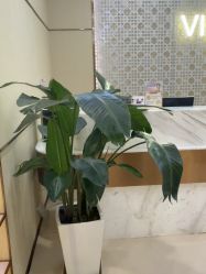 -贵阳美莱医疗美容整形医院