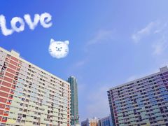 -彩虹村