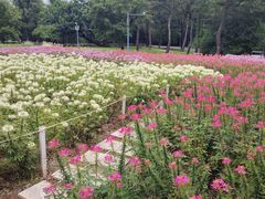 -沈阳植物园
