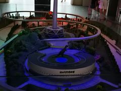 -陕西自然博物馆