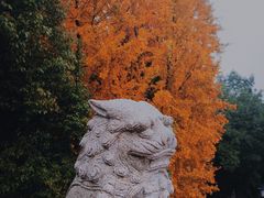 -阅江楼风景区