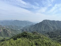 -大岭沟猕猴桃谷风景区
