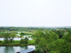 -沙美村