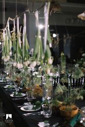 -琥珀婚礼策划AMBER WEDDING