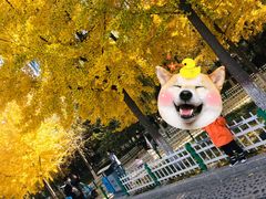 -石家庄市动物园