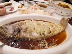 -金狮麟·新豫菜(金码大厦店)