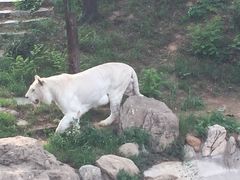 -石家庄市动物园