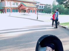 -钓鱼台国宾馆
