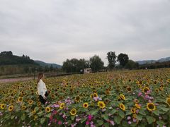 -杭州乐园