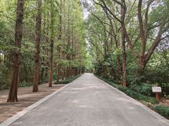 -同里国家湿地公园