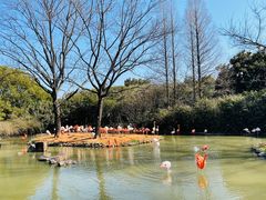 -上海野生动物园