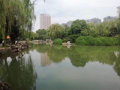 -西苑公园