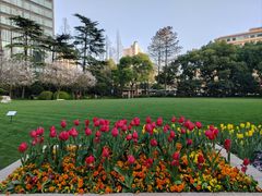 -静安公园(静安寺街道)