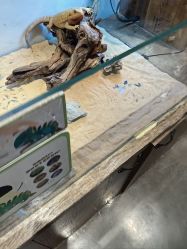 -Zoolung Zoolung动物主题公园(海信广场店)