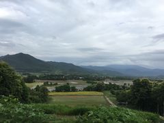 -黄色小屋