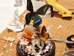 -深圳龙华星河COCO City(民治店)