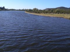 -羊亭河湿地公园