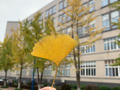 -西南政法大学(渝北校区)