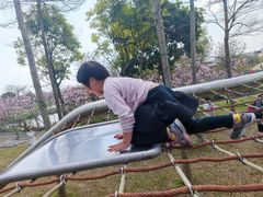 -天适樱花悠乐园