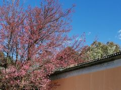 -天龙八部武侠城