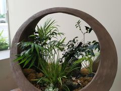 -小茶闲舍·观景商务茶馆(广州塔店)