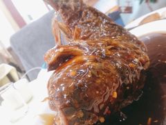 挣蹦鲤鱼-奥华餐厅·老张记(台基厂店)