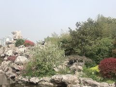 -梅园