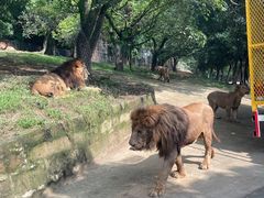 -乐和乐都主题乐园