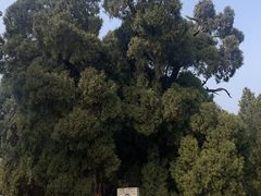-四门塔风景区