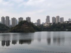 -重庆彩云湖湿地公园