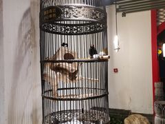 -清真·京华源铜锅涮肉(丰庆店)