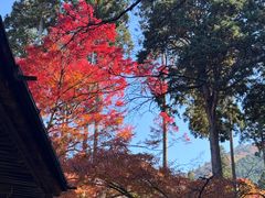 -三千院