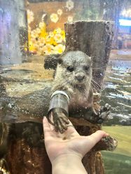 -Zoolung Zoolung动物主题公园(海信广场店)