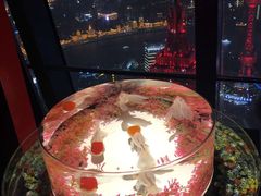 -上海环球金融中心云端足球盛典
