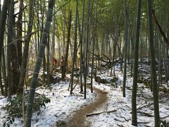 -湖州龙王山景区