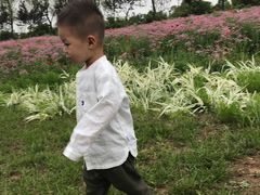 -洨河生态公园