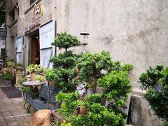 -more than meow吴止猫主题餐厅(承德 中船汇店)