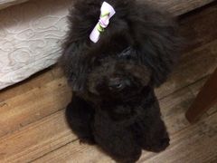 iphone_upload_pic-赢吧Bliss音乐酒吧