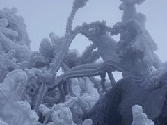 -金子山原生态旅游风景区