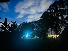 -漾亚·雍雅合鲜(桐梓林店)