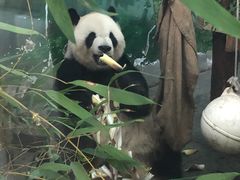 -无锡动物园·太湖欢乐园