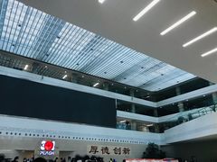-中国人民解放军总医院(301医院)