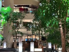 -新加坡泛太平洋酒店