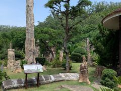 -深圳仙湖植物园