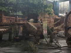 -泉州海丝野生动物世界