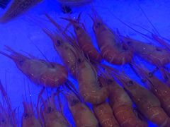 -万达瑞华酒店美食汇自助餐厅(楚河汉街店)