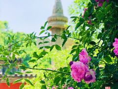 -北京石刻艺术博物馆(五塔寺)