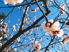 -川外川(星海店)