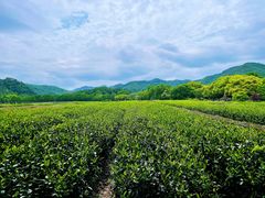 -中国茶叶博物馆(双峰馆区)
