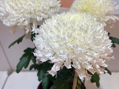 -汇龙潭